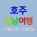 24년 11월 22일 호주 시드니 배낭여행 10일 ==＞출발확정 (3좌석) 이미지