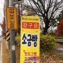 갓구운빵굽터내 | [소금빵 맛집] 소금빵 트럭차에서 갓구운 소금빵 구매한 후기〰️(수도권 소금빵 트럭)