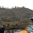 신동준농장 Daum카페