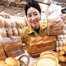 몽브레드