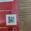 돌체빈스 이미지