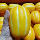 동영농장 이미지