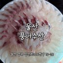 삼산로 | 울산횟집 추천 삼산로횟집 풍어수산 모둠회 포장 후기