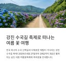 강진호수농장 | 강진 수국길 축제 일정, 주차장, 강진 숙소 정보