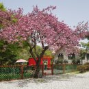 산정식당 이미지