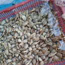 순자네홍두깨손칼국수 | [부천 맛집 소개] 일신 홍두깨손칼국수 방문 후기(가성비 맛집 소개)