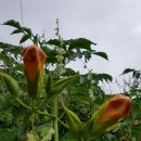 상원경로당 이미지