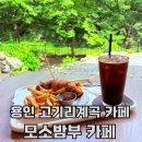 카페와니 | 용인 고기리 계곡 카페 모소밤부 다이닝&카페 주말방문 후기