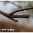 연미향마을 | [캠핑.106]- 설날연휴캠핑 용인연미향마을(1.31~2.2)