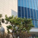 서울은진초등학교 네이버블로그