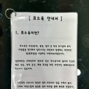 자연온담