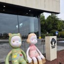 제주 신상 테마파크 추천, 아이와 가기 좋은 돌코리숲 후기