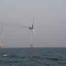 상업용 78 이미지