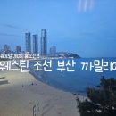 동백로 | 웨스틴 조선 부산 까밀리아 뷔페 주중 저녁 방문후기