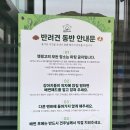 캠핑고 이미지
