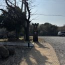 4일 제주] 서쪽 애견동반 2일차 일정 &#39;산양큰엉곶-혜원 신화월드점-카멜리아힐-터틀락-애월 암행어사&#39; 후기
