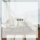 맛있는식탁 이미지