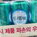 트레비