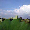 성내농장 이미지