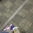 베스킨라빈스동광주 이미지