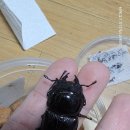 소소한뽑기 이미지