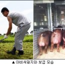 씨드랜드