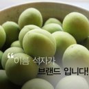 광양매화문화관 이미지