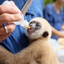 더블유빌리지 이미지