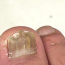 레푸스청라점 이미지