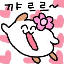 청년피자경북울진점