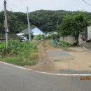 에이치와이팜 이미지