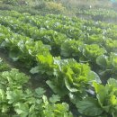 덕수농장 이미지