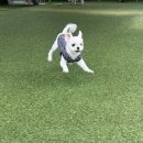 멍테소리 이미지