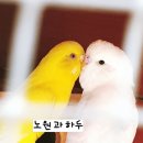 파랑새건강원