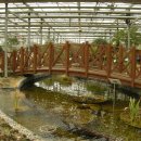 안산 식물원 이미지