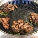 잠실고박사 이미지