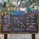 바우길 5구간 | 강릉 바우길5구간(해파랑길39코스) 일부 트레킹(송정-강문)-솔향힐링해변길 with 송정해변일출