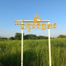 금오행정사 이미지