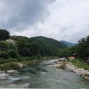 민들레울 이미지