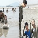 순천만 거차뻘배체험장 이미지