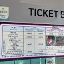 샘골민박 | 동해 묵호 당일치기 여행 코스 기록 | 등대오름길·도째비골스카이밸리·묵호등대·논골담길·안목해변...