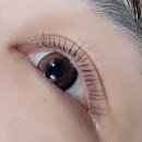 아이러브아이래쉬 | 이수역 속눈썹펌, 가성비 속눈썹연장 : 아이러브아이래쉬 속눈썹펌 후기