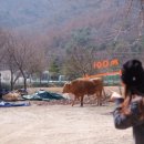 소소리농장 이미지