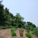 영지민박 이미지