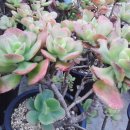 지혜의샘터 이미지