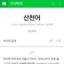 자바낚시 이미지