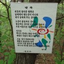 5월4일 산행 경북 예천 비룡산과 회룡포. 이미지