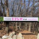 짱오농장 | [공지] [여주] 세종대왕릉 맛집 여주 숲속 이색 카페 •• 기미짱오꼬노미카페🫐