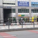 세종보람치과의원 네이버블로그