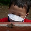 7월 6일 개미의 역할과 결혼비행에 대해 배우고, 알록달록 숲에 다녀왔어요. 이미지